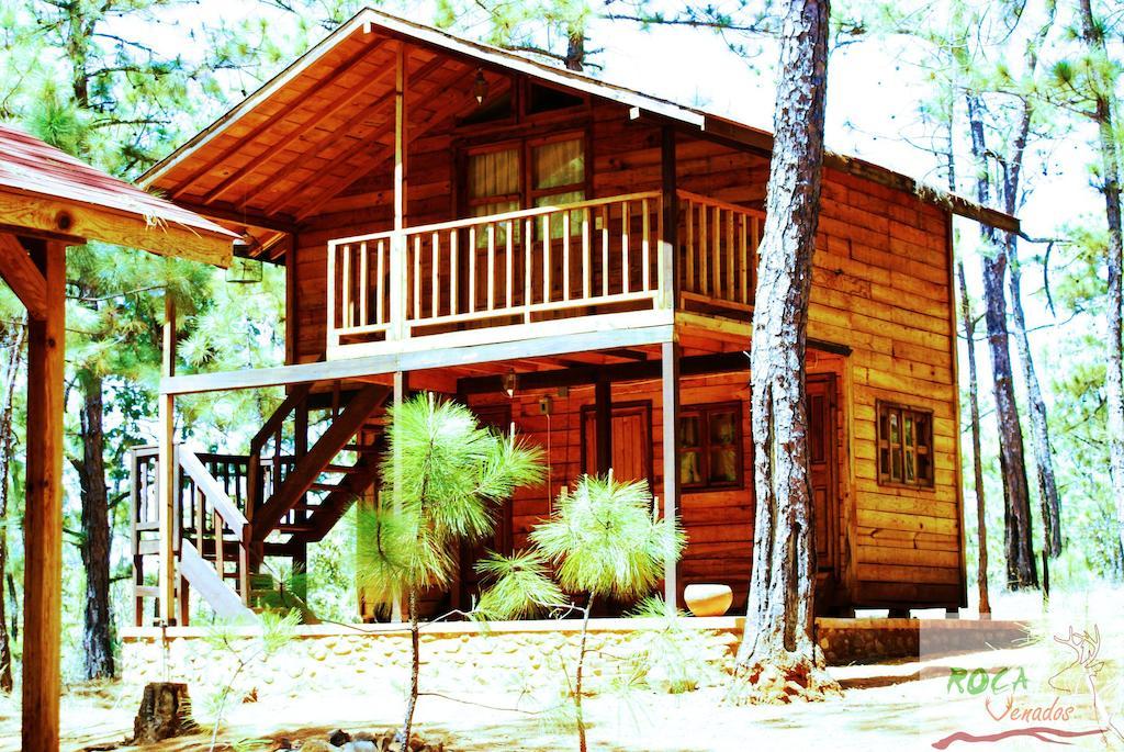 Rocavenados Villa Маскота Стая снимка