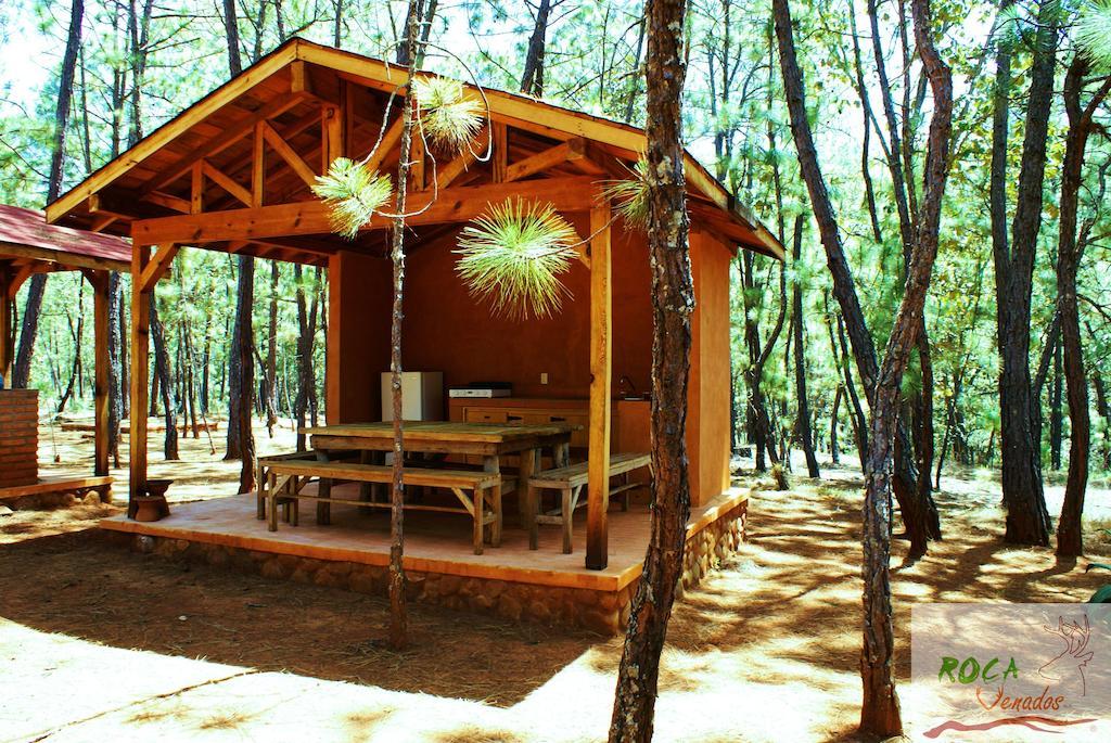 Rocavenados Villa Маскота Стая снимка