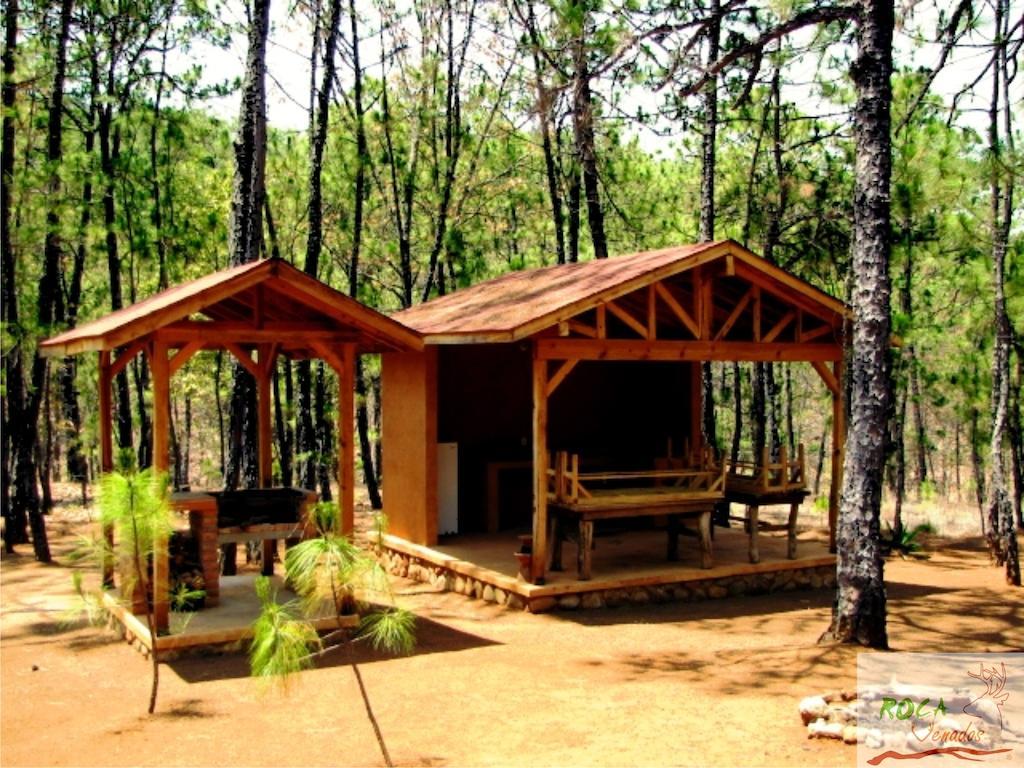 Rocavenados Villa Маскота Стая снимка