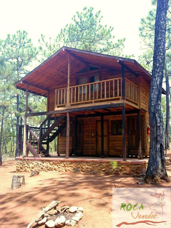 Rocavenados Villa Маскота Стая снимка